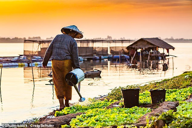 Cambodia? It’s wild! Forget Angkor Wat and explore the natural wonders of this country for an epic adventure